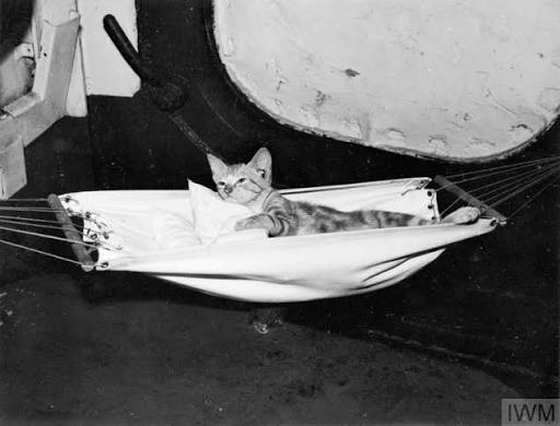 MASCOTS OF THE ROYAL NAVY