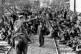 Please help us to describe the issue so we can fix it asap. 25 Jahre Schindlers Liste Das Madchen Das Man Nicht Vergisst