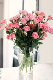 Check spelling or type a new query. 110 ÙˆØ±Ø¯ Ideas Beautiful Flowers Love Flowers Flowers
