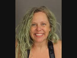 Drunken Driver Hits 2 People, Multiple Parked Cars In Westland: Police