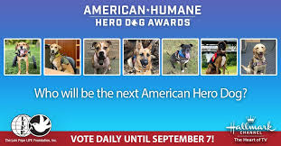 They really do have nearly every cable imaginable, and i found what i was looking for quickly. Meet America S Top Dogs Seven Remarkable Canines Named Finalists For 2021 American Humane Hero Dog Awards