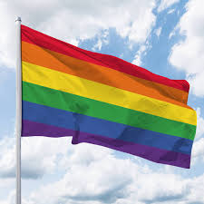 Definition of flagge in the definitions.net dictionary. Regenbogenfahne Quer Flagge Bei Deitert Rb5005