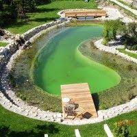 schwimmteich bei nurnberg mielke s naturbadeteich schwimmteich naturschwimmbader teich