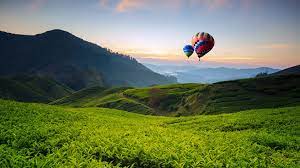 Cameron highlands çay tarlaları 1. Balloons And Tea Valley View On Sunrise At Cameron Highlands Tanah Rata Pahang Malaysia Windows 10 Spotlight Images