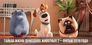 Tajnaya Zhizn Domashnih Zhivotnyh 2 Film 2019 Trejler Data Vyhoda