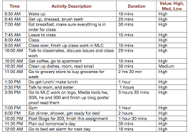 Monique Cst 300 Daily Activity Log