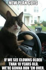 51 Of The Funniest Cat Pics Of All Time Catoftheday Funnycat Funny Cat Pictures Funny Kids Funny Animals
