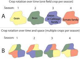 If you plant a variety then the land loses x kg of nitrients and it will take some time for the soil to recreate the. Pest Prevention Echocommunity Org