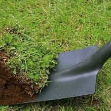 Can i bury ashes in my garden. Burying Ashes In The Garden And Other Informal Settings Scattering Ashes
