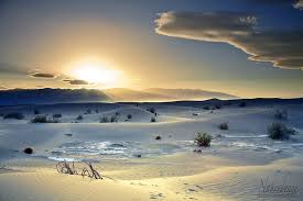 Naheed Choudhry (naheedence)