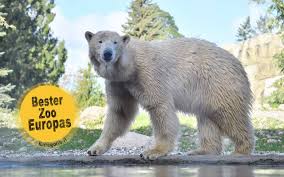 Which is the largest zoo on the german east coast? Auszeichnung Fur Rostocker Zoo Bester Zoo Europas Kategorie B