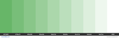 We did not find results for: Tints Xkcd Color Dark Pastel Green 56ae57 Hex Hex Color Palette Sea Green Color Hex Colors