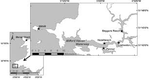 It is also home to one of the most beautiful beaches in the uk, rhosilli bay, which is often referred to as one of europe's best beaches. Map Of Wales Uk Left And The Milford Haven Waterway Mhw In South Download Scientific Diagram