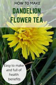 How To Make Dandelion Flower Tea Dandelion Tea Dandelion Tea Benefits Flower Tea
