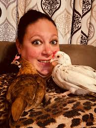 Kikiriki chickens: friendly and small breed?