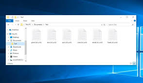 Mungkin ini ulah dari virus yang telah menginfeksi flashdisk yang saya gunakan. Urnb Virus Urnb File Removal Decrypt Files