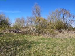 Mehr daten und analysen gibt es hier: Immobilien Hauser Kaufen In Pritzwalk