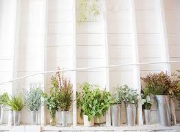 And what better way to celebrate a birthday, anniversary or just love, than beautiful, sustainable flowers from bouqs? Ampersand Sf Sfgirlbybay Flowers Blooming Plants Flower Decorations