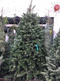 Christmas party events in sacramento, ca. Christmas Trees The Plant Foundry