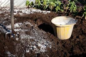 When to use eggshells in the garden. How To Use Eggshells In The Garden Gardener S Path