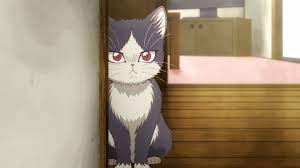Is Doukyonin Wa Hiza Worth Your Time Anime Shelter In 2021 Anime Anime Cat Kawaii Anime