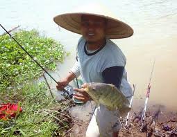 Umpan ikan nila berupa pelet memang banyak tersedia di berbagai toko alat pancing dan toko ikan. Umpan Nila Babon Di Danau Galak Rajaumpan Com 2021