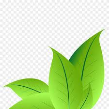 Green leaf leaves nature plant green leaves spring pattern foliage background 39,226 free images of green leaf / 393 ‹ › Green Leaves Clipart Png Similar Png