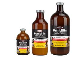 The right dosage of penicillin depends on different factors such as the weight, body type, severity of the condition and the exact treatment used. Penicillin Injectable Durvet