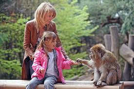 Homepage aktivitäten la montagne des singes. La Montagne Des Singes En Alsace Region De Selestat Selestat Tourisme Haut Koenigsbourg