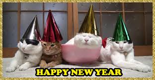 Pin By Marilyn D On Happy New Year Happy New Year Meme Cat Birthday Funny Happy Birthday Fun