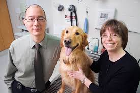 Treatment of escherichia coli is to take specially selected antibiotics. Insights Into Osteosarcoma In Cats And Dogs May Improve Palliative Care Illinois
