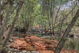 To address some things from the other comments: Hike Wet Beaver Creek To The Crack Secret Oasis Inspire Travel Eat