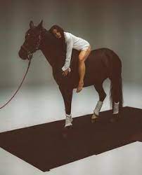 Jeder schatten ist im letzen doch ein kind des lichts und passendes bild gefunden… 900 Lena Meyer Landrut Ideas Lena Pretty Celebs