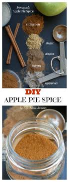 Homemade Apple Pie Spice Mix Recipe Spice Mix Recipes Homemade Spice Mix Spice Recipes