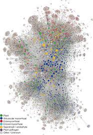 This financial guide provides an overview of the types of benefits that businesses provide for employees and what's involved in offering them. Network Hubs In Root Associated Fungal Metacommunities Microbiome Full Text