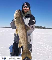 Beautiful Lake Trout Caught Through The Ice At Crawfordscamp Fishin Icefishing Sunsetcountry Repost Discoveron Visitsunsetco Fishin Beautiful Lakes Lake