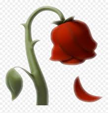 Choose from 1200+ love flowers graphic resources and download in the form of png, eps, ai or psd. Emoji Rose Rosa Ios10 Whatsapp Red Love Flower Dying Rose Emoji Hd Png Download Vhv