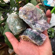 Fluorite | Rough Palm Stone — Harry's World South St.