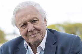 David Attenborough hits out at big game hunters after 12-year-old admits to  trophy hunting
