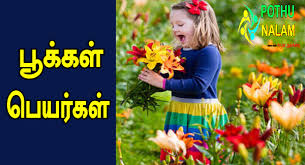 Flowers name list in tamil. à®ª à®• à®•à®³ à®ª à®¯à®° à®•à®³ Flowers Names In Tamil