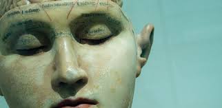 The Blood-Brain Barrier- Raindrop Messenger