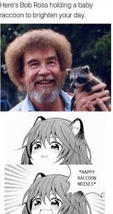 Happy Racoon Noises 9gag