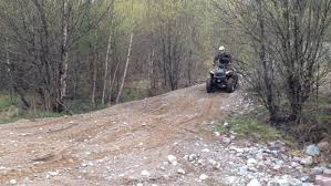 Image result for site:byggahus.se trädfällning