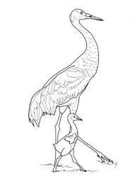 Sandhill Crane With Baby Coloring Page Supercoloring Com Bird Coloring Pages Baby Coloring Pages Mermaid Coloring Pages
