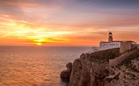 Image result for Faroa alata