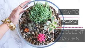 The most important thing to remember when planting succulents is to use proper soil. How To Build A Mini Succulent Garden Youtube