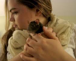 David Blohm's Instagram, Twitter & Facebook