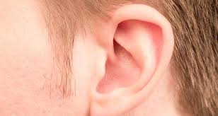 In this report, we present a case of severe pixie ear deformity after rhytidectomy, which was alleviated with a modification of the minimal access cranial suspension (macs) lift. Elf Ear Los Angeles Ent Doctor