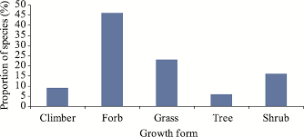 Image result for Monothecium glandulosum