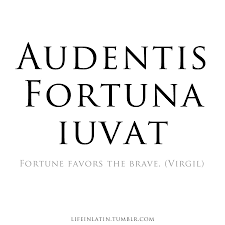 Life In Latin Latin Quotes Latin Quote Tattoos Latin Phrases